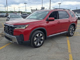 Used 2026 Honda Pilot SUV