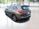 Ascent Limited 8 Passenger