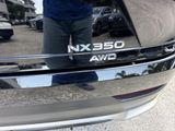 Used 2024 Lexus NX SUV