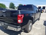 Used 2015 Ford F-150 Truck