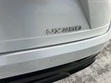 Used 2025 Lexus NX SUV