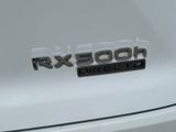 Used 2024 Lexus RX SUV