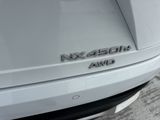 Used 2025 Lexus NX SUV