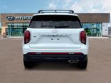 Palisade XRT