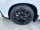 Used 2025 Lexus NX SUV