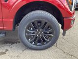 New 2026 Ford F-150 Truck