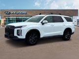 Palisade XRT
