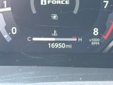 Used 2025 Toyota Tacoma Truck