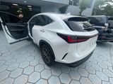 Used 2024 Lexus NX SUV