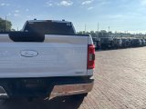 Used 2021 Ford F-150 Truck