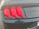 Used 2021 Ford Mustang Coupe