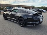 Used 2023 Ford Mustang Coupe