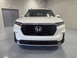 Used 2025 Honda Pilot SUV