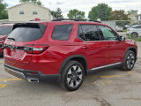 Used 2026 Honda Pilot SUV