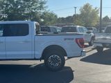 Used 2023 Ford F-150 Truck