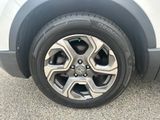 Used 2019 Honda CR-V SUV