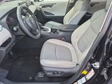 Used 2019 Toyota RAV4 SUV