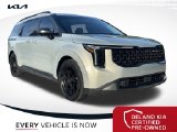 Used 2025 Kia Carnival Van