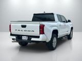 Used 2024 Toyota Tacoma Truck