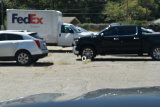New 2026 Chevrolet Tahoe SUV