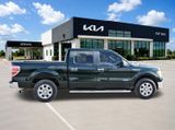 Used 2013 Ford F-150 Truck