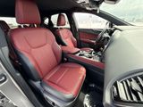Used 2025 Lexus NX SUV