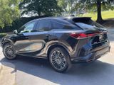 Used 2024 Lexus RX SUV