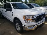 Used 2021 Ford F-150 Truck