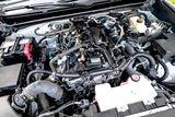 Used 2024 Toyota Tacoma Truck