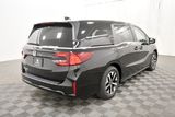 New 2026 Honda Odyssey Van