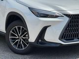 Used 2024 Lexus NX SUV