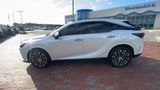 Used 2024 Lexus RX SUV