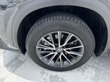 Used 2025 Lexus NX SUV
