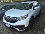 Used 2020 Honda CR-V SUV