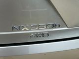 Used 2025 Lexus NX SUV