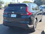 Used 2026 Honda CR-V SUV