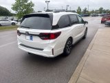 New 2026 Honda Odyssey Van