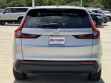 Used 2025 Honda CR-V SUV