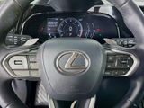 Used 2022 Lexus NX SUV
