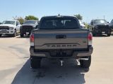 Used 2020 Toyota Tacoma Truck