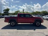 Used 2021 Toyota Tacoma Truck
