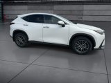 Used 2025 Lexus NX SUV