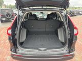 Used 2025 Honda CR-V SUV