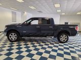 Used 2013 Ford F-150 Truck