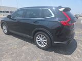 Used 2025 Honda CR-V SUV