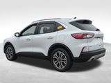 Used 2020 Ford Escape SUV