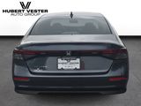 New 2026 Honda Accord Sedan Sedan