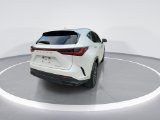 Used 2023 Lexus NX SUV