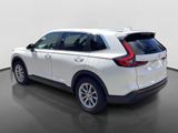 Used 2023 Honda CR-V SUV