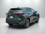 Used 2024 Lexus NX SUV